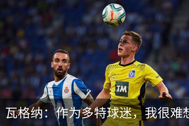 瓦格纳：作为多特球迷，我很难想象执教这支球队